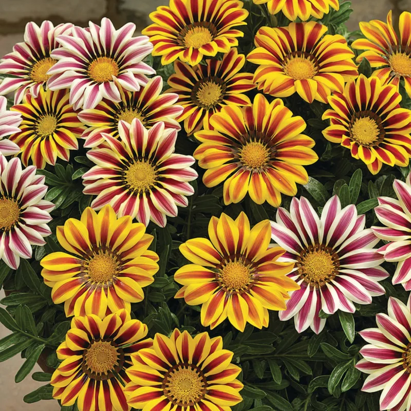 Фото 1