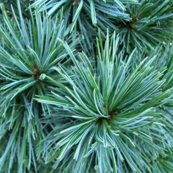 Фото 2