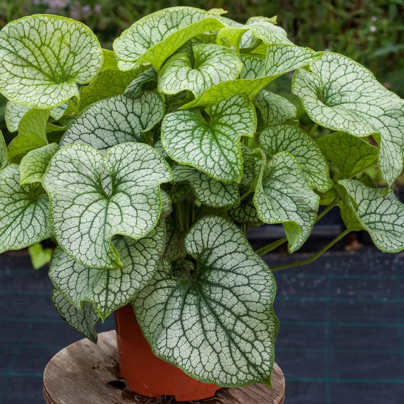 Фото 2