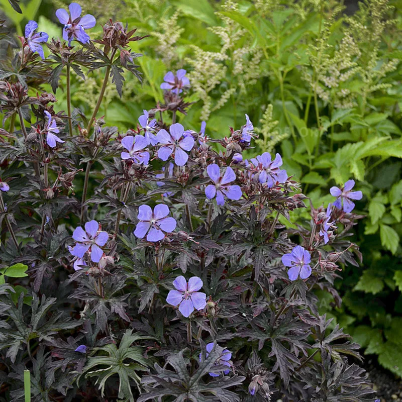 Фото 1