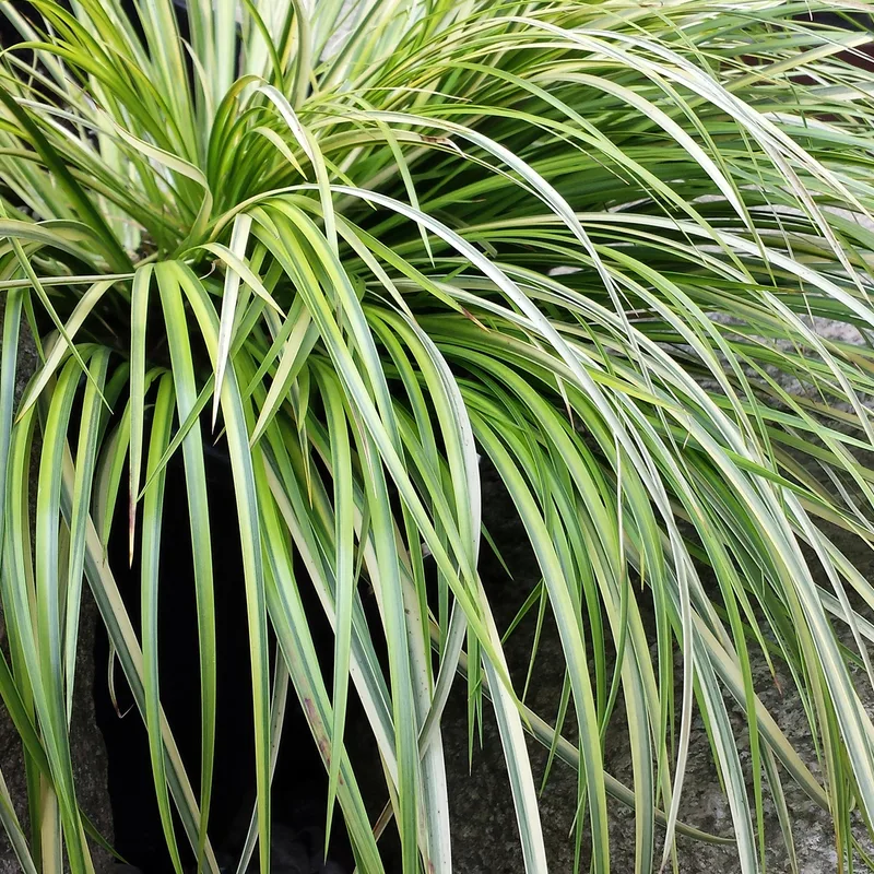 Фото 2