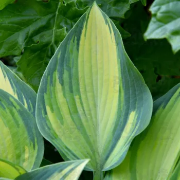 Фото 2