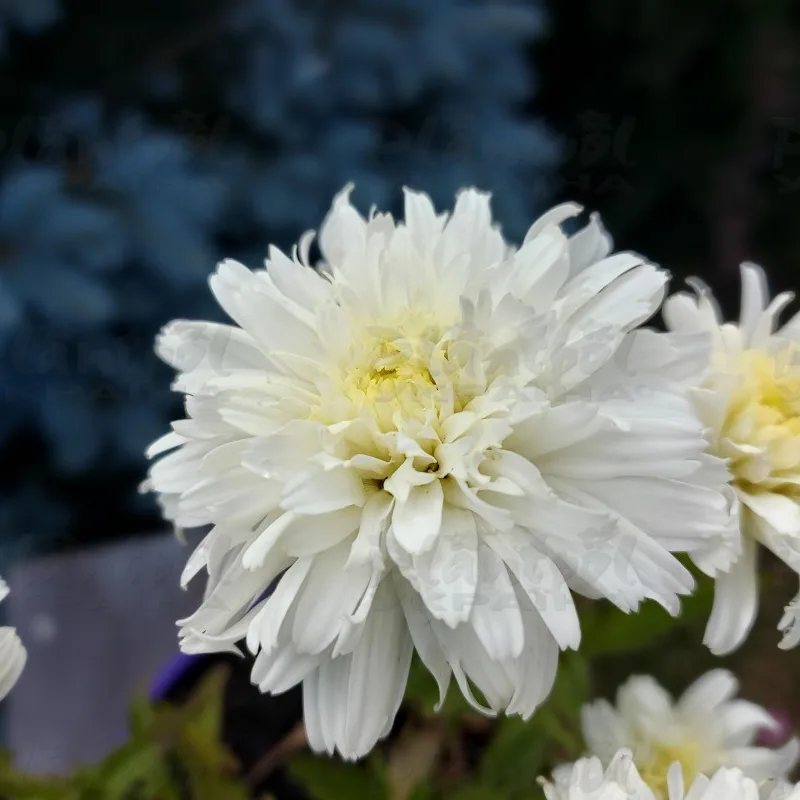 Фото 2
