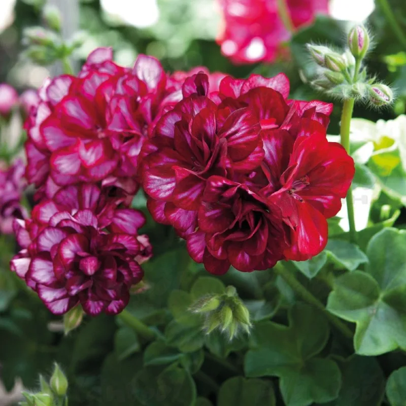 Фото 2