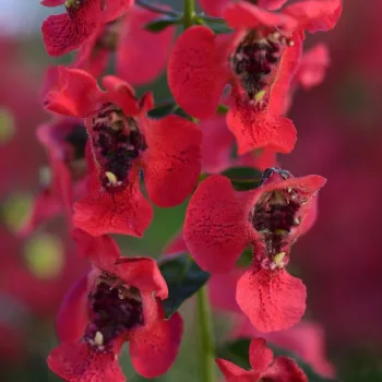 Фото 2