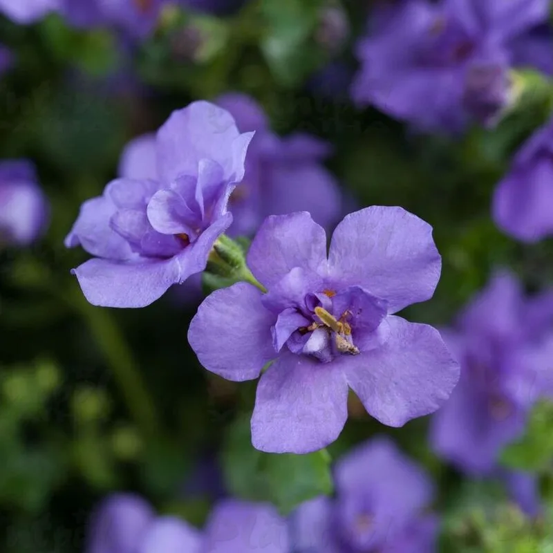 Фото 2