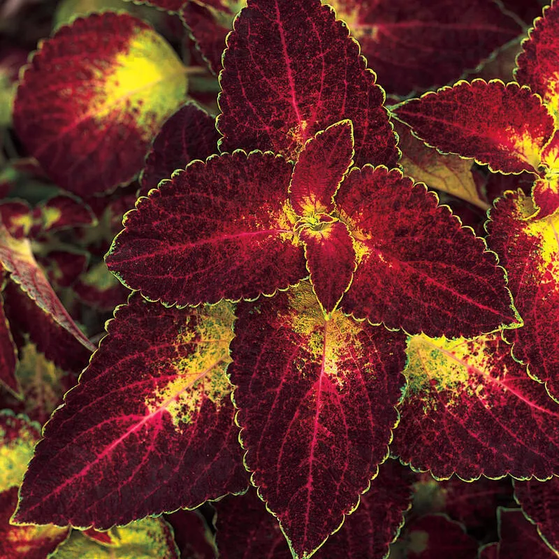 Фото 3