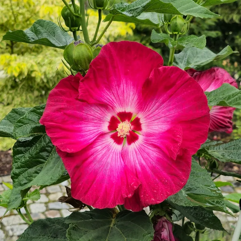 Фото 1