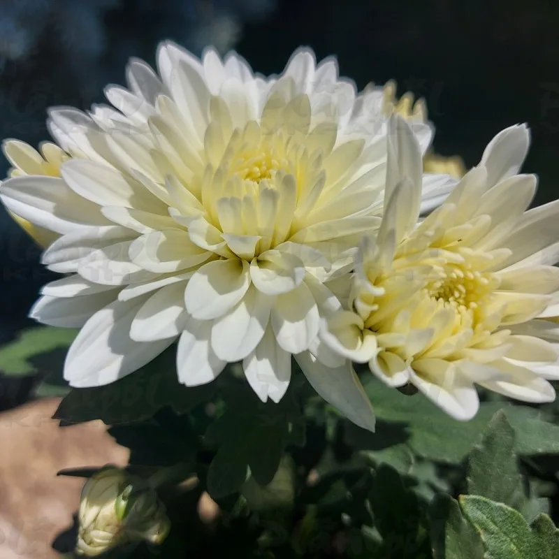 Фото 6