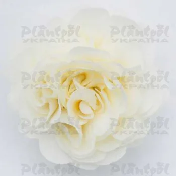 Фото 2