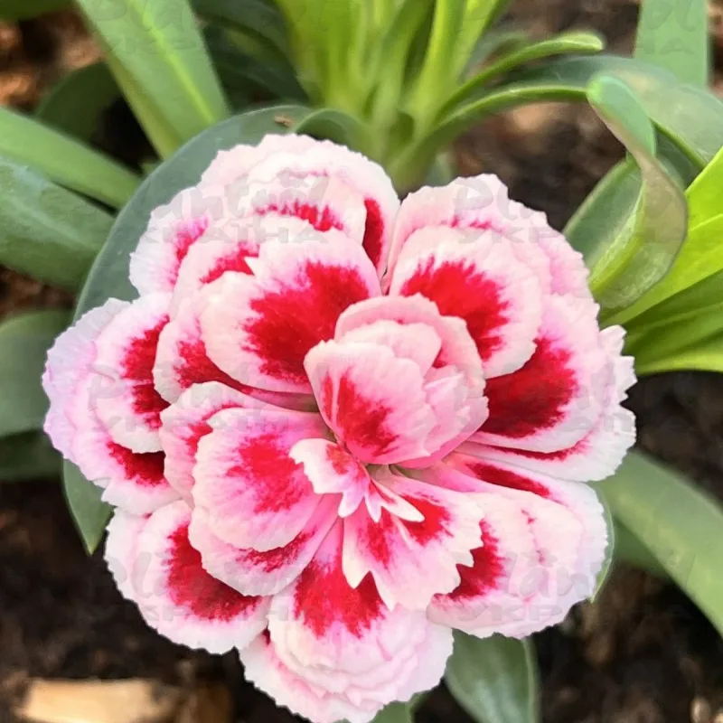 Фото 2