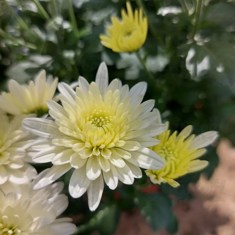 Фото 6