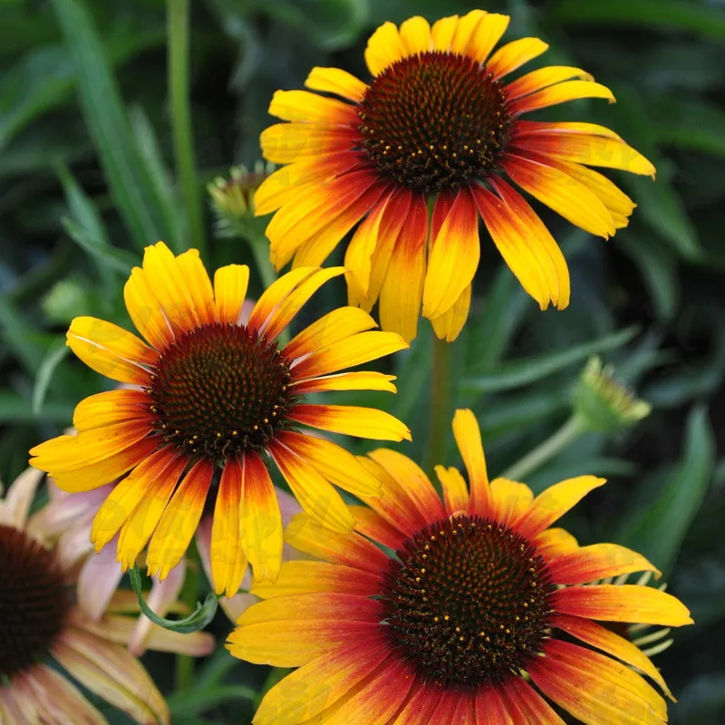 Фото 2