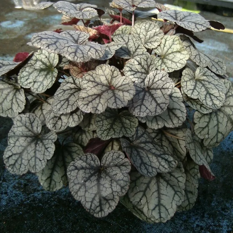 Фото 2