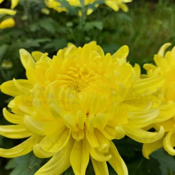 Фото 2