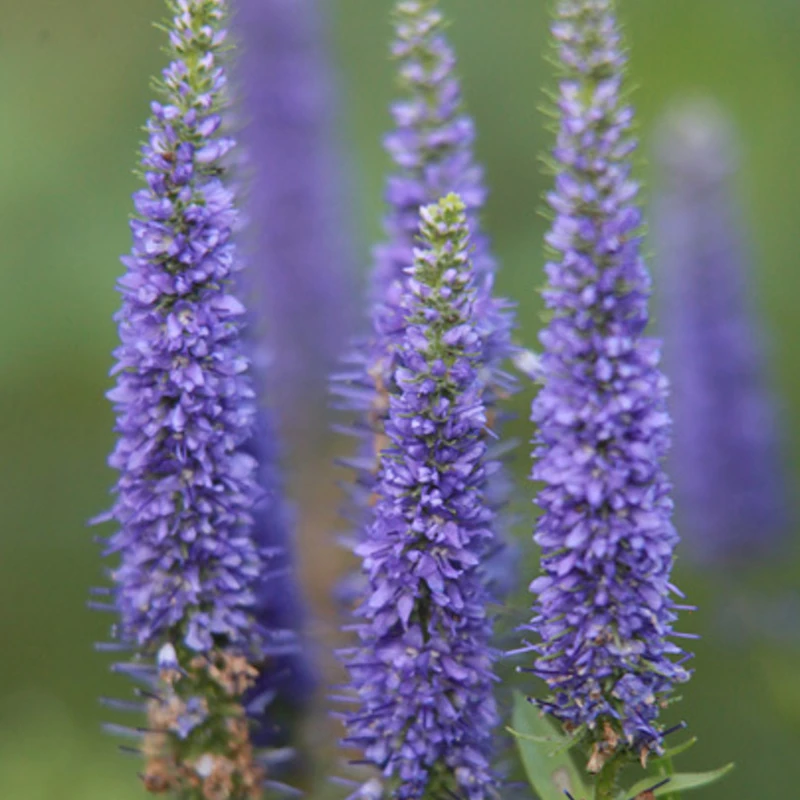 Фото 2