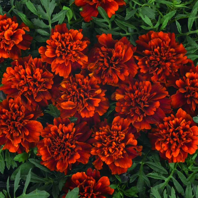 Фото 2