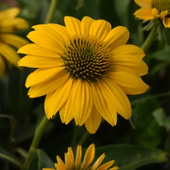Фото 2