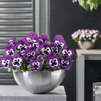 Фото 3
