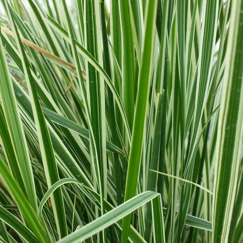 Фото 1