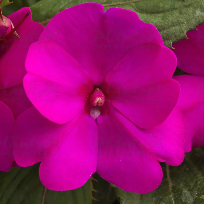 Фото 3