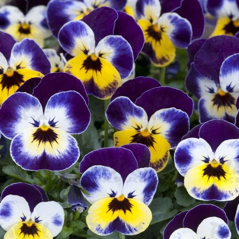Фото 3