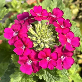Фото 2