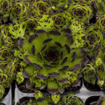 Фото 2