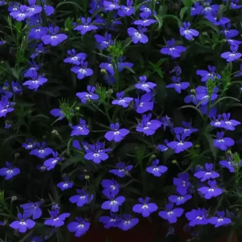 Фото 1
