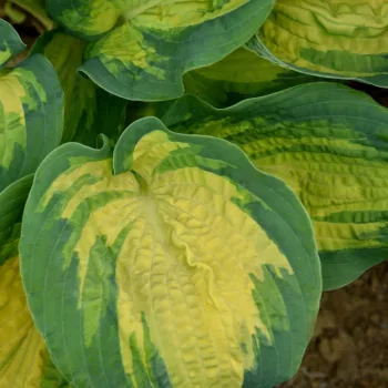 Фото 2