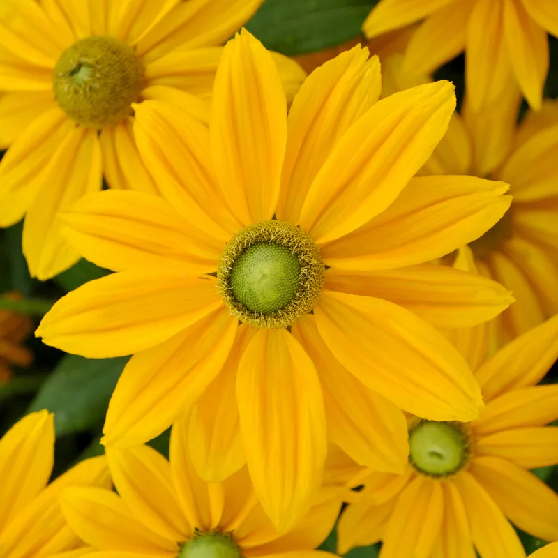 Фото 1