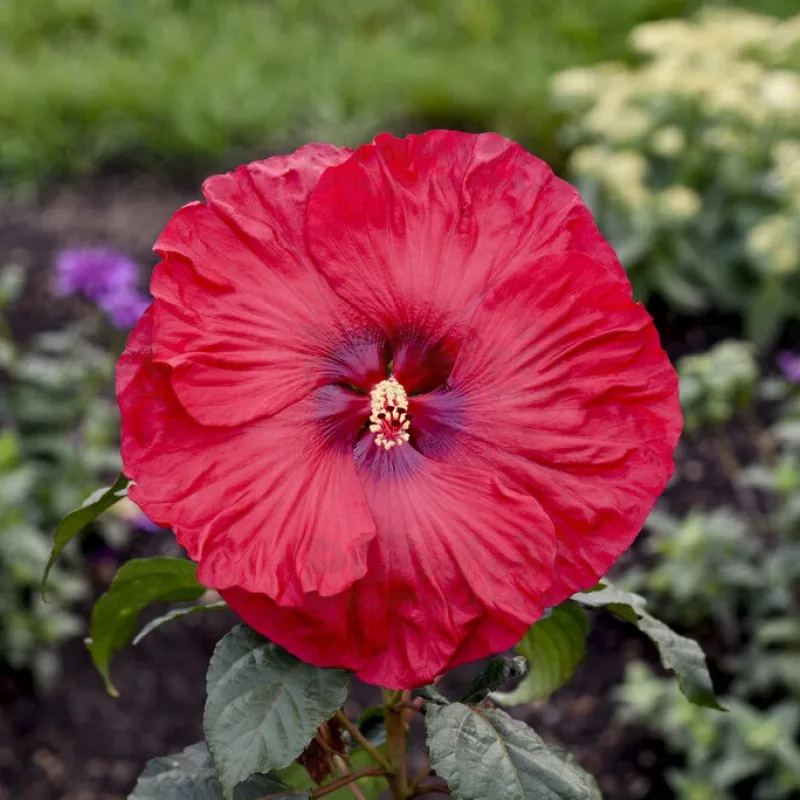 Фото 2