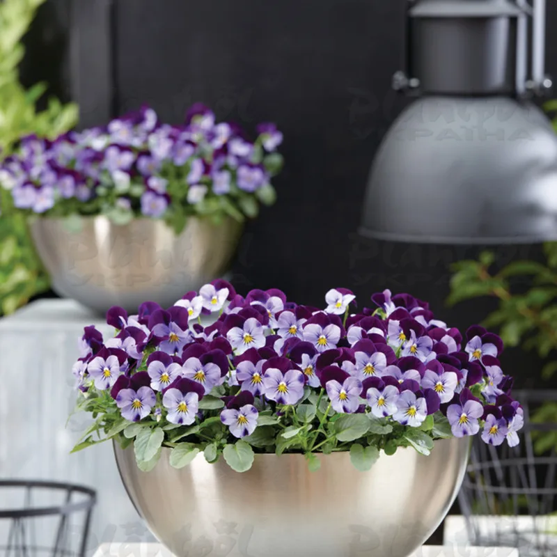 Фото 2