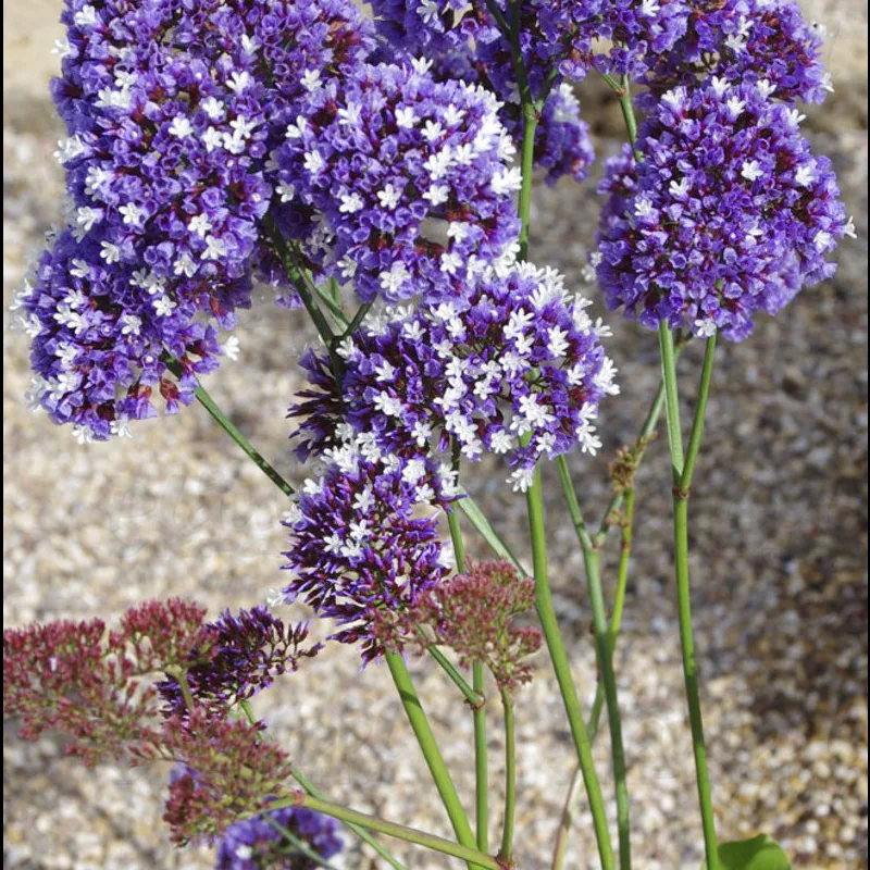 Фото 1