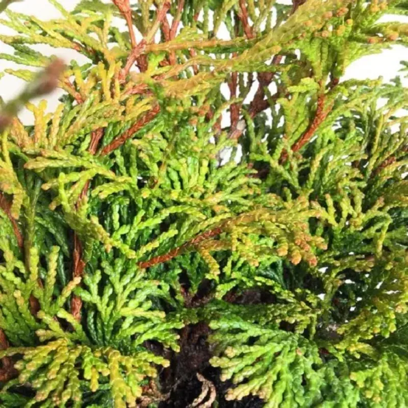 Фото 2