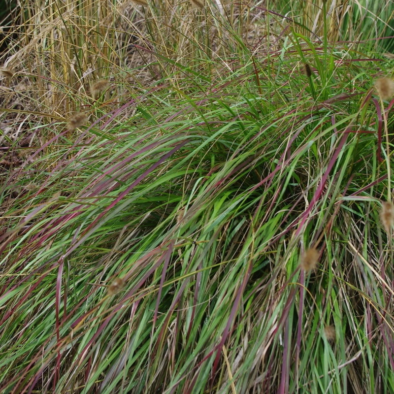 Фото 1