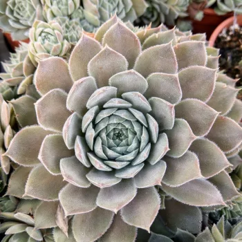 Фото 1