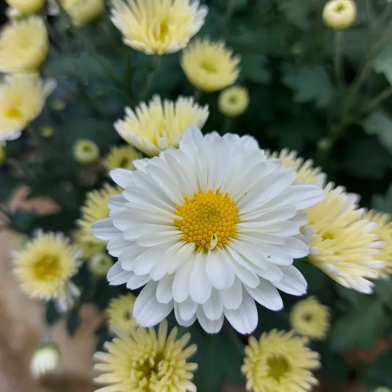 Фото 6