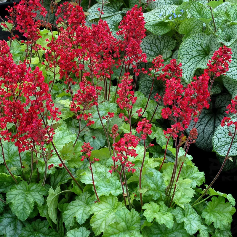Фото 1