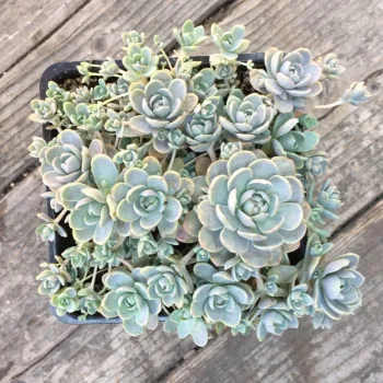 Фото 2