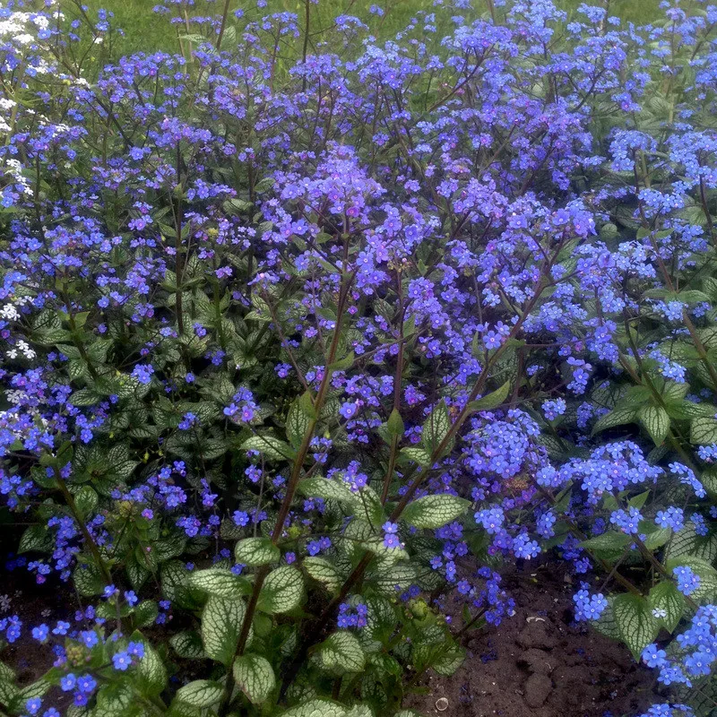 Фото 1