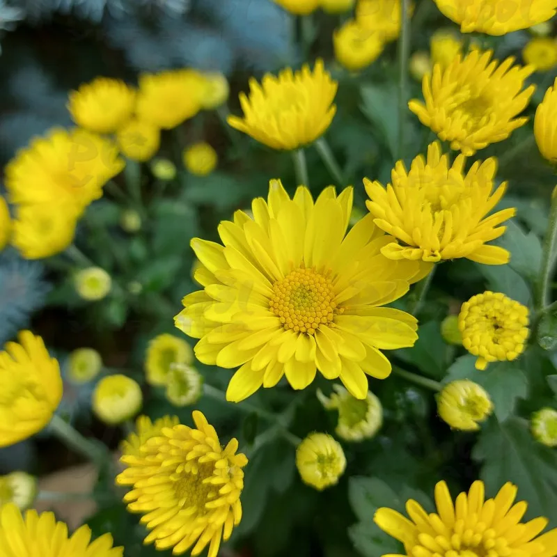 Фото 6