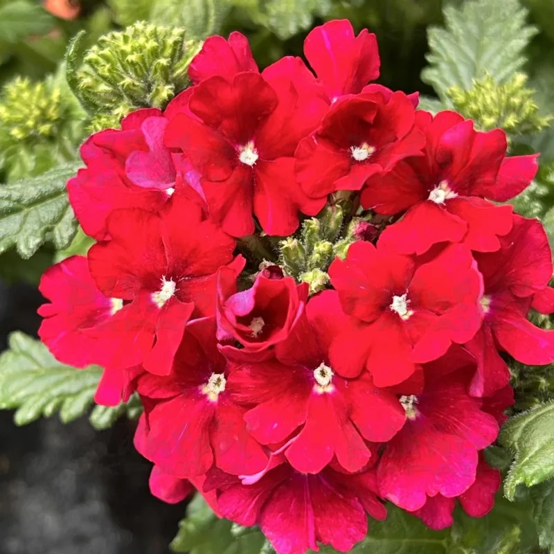 Фото 2