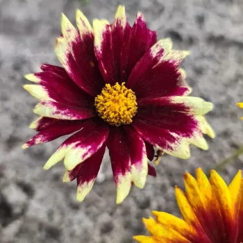 Фото 2