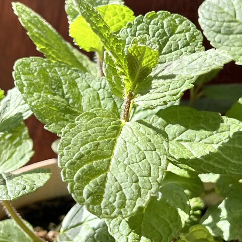 Фото 6