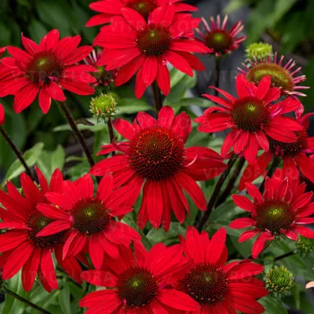 Фото 2