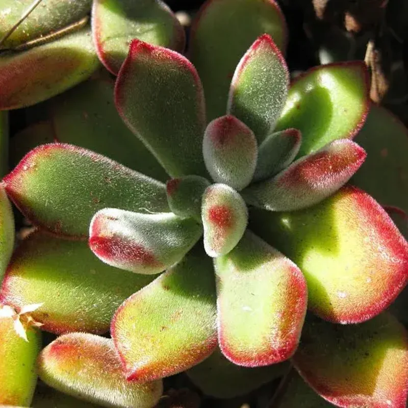 Фото 2