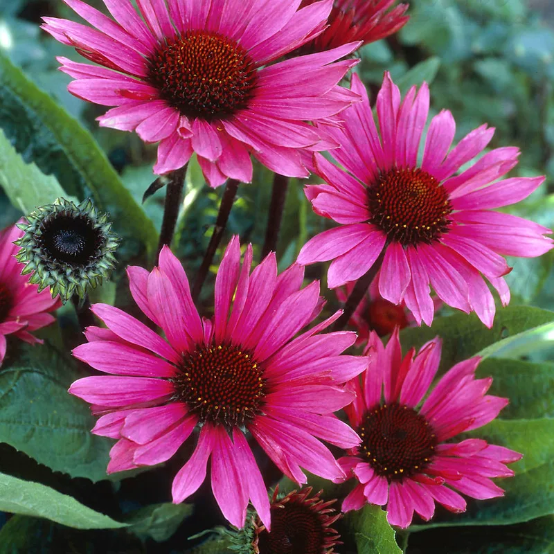Фото 2