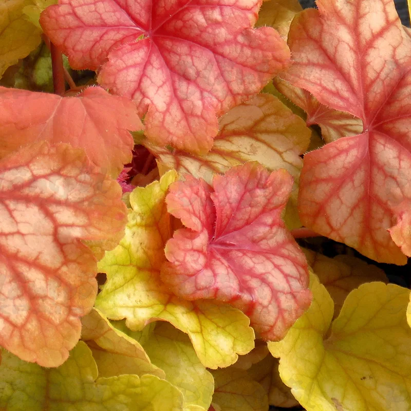 Фото 3