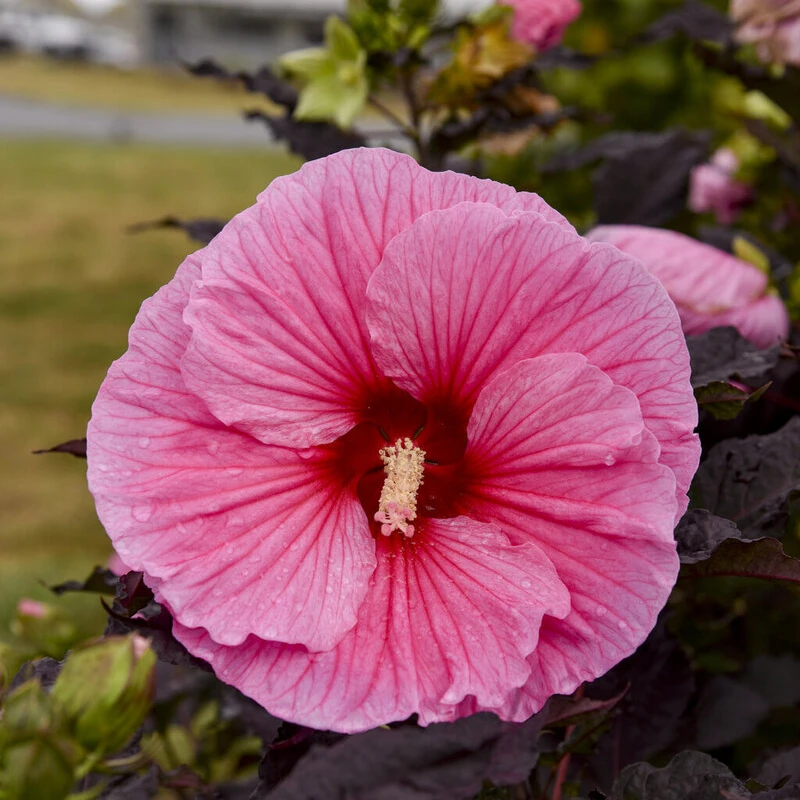 Фото 1